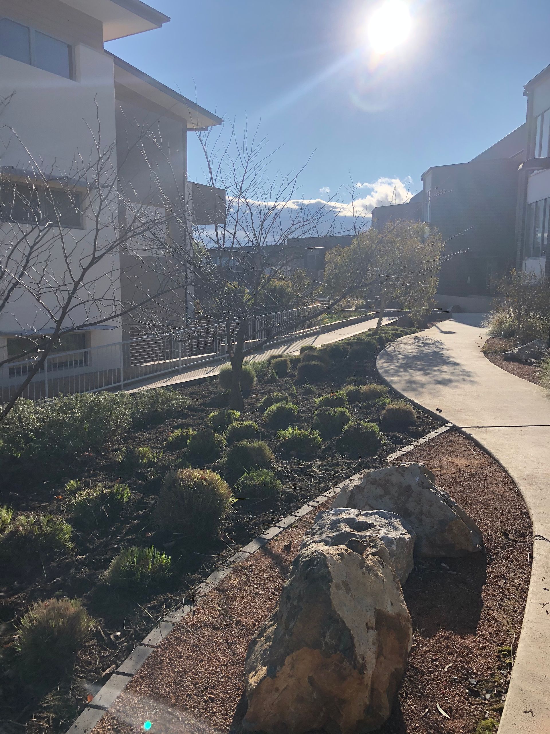 Sunlit residential walkway with shrubs, rocks, and apartment buildings under a bright blue sky