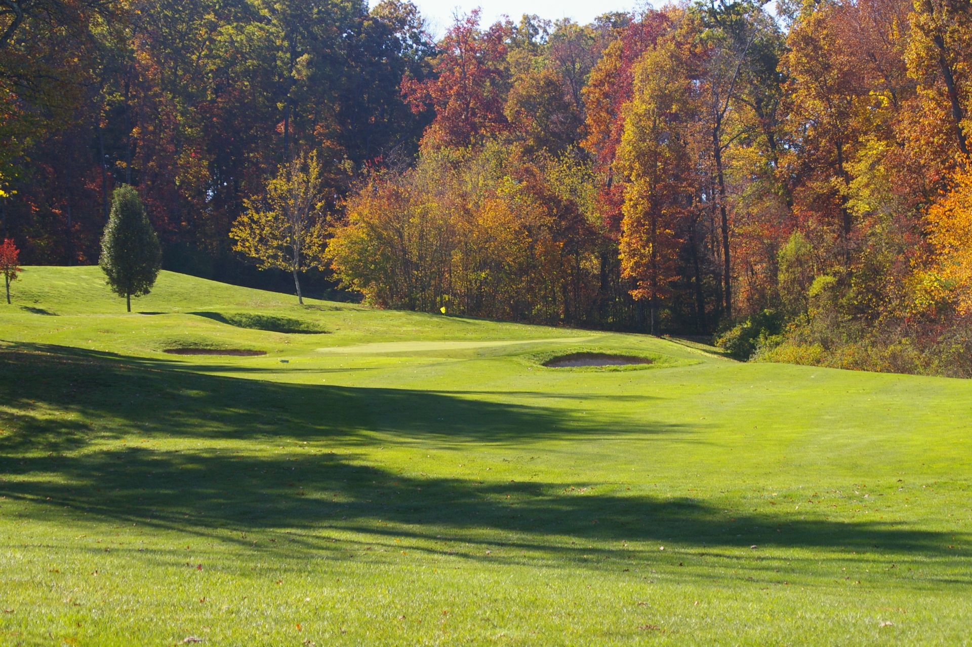 A lush green golf course with trees in the background