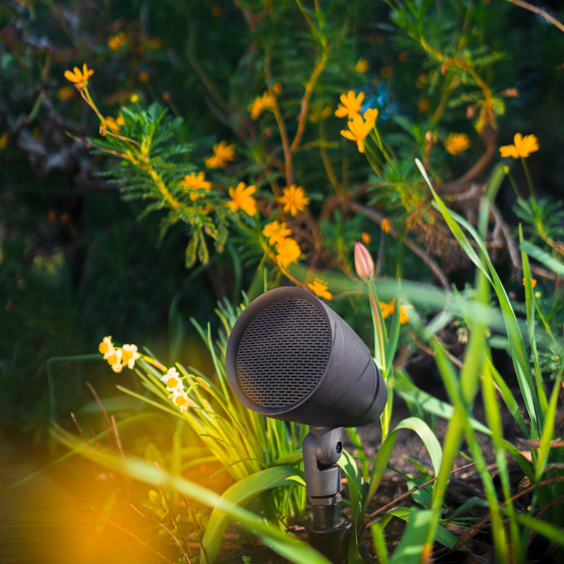 Sonance outdoor spotlight speaker in garden — Earl Outdoor Solutions Omaha