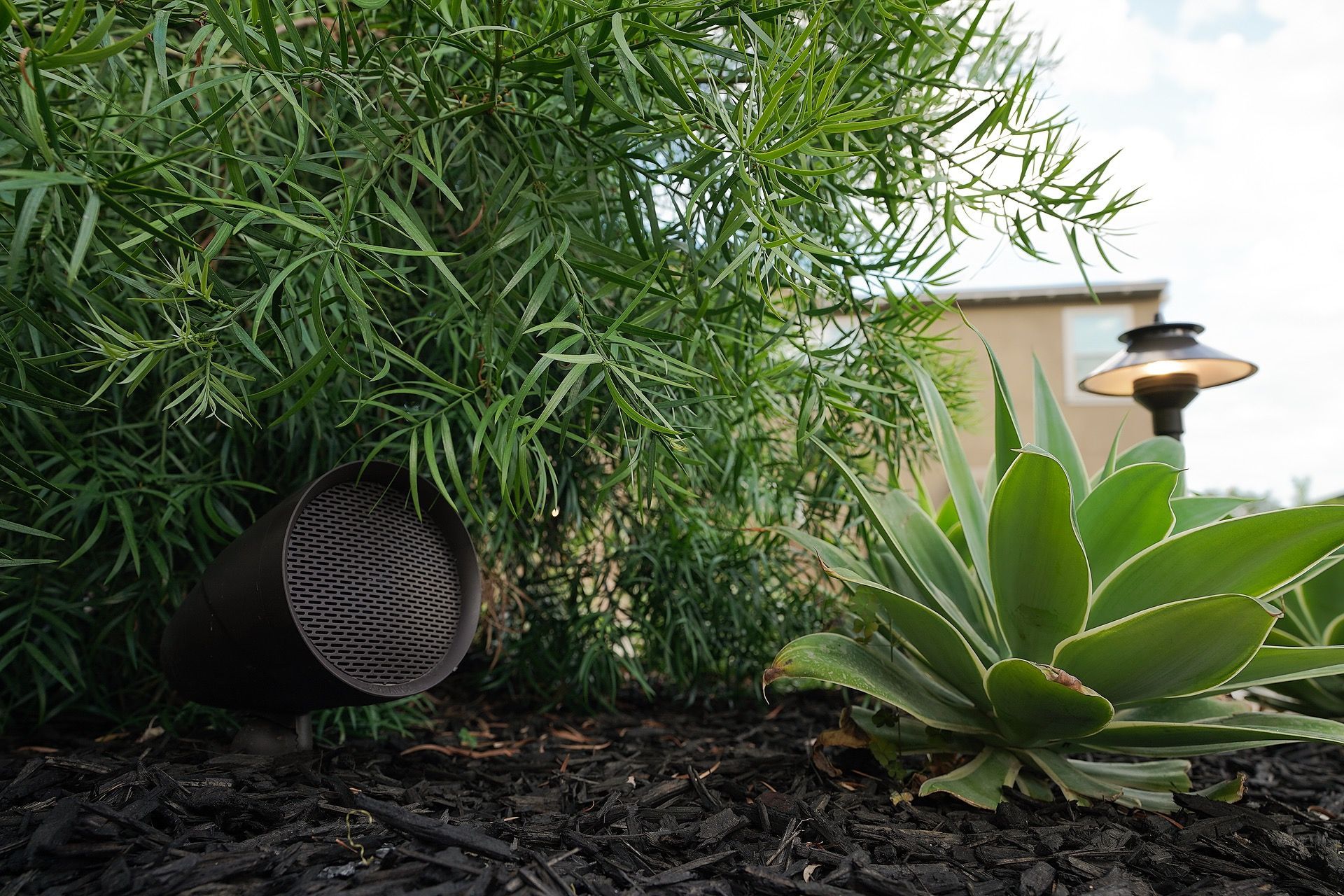 Alliance decorative landscape light among succulents — commercial outdoor lighting Omaha