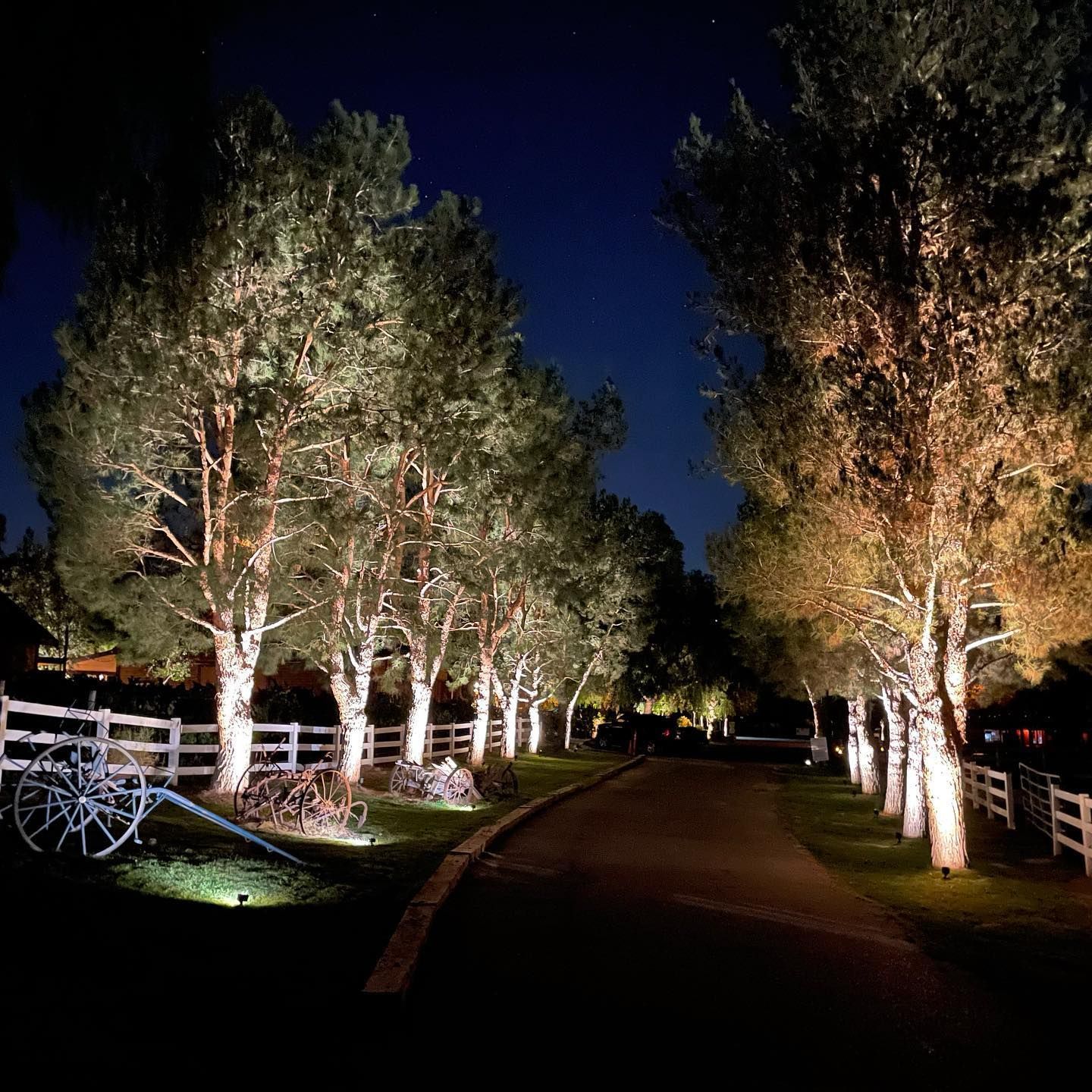 Tree uplighting landscape lighting Omaha NE