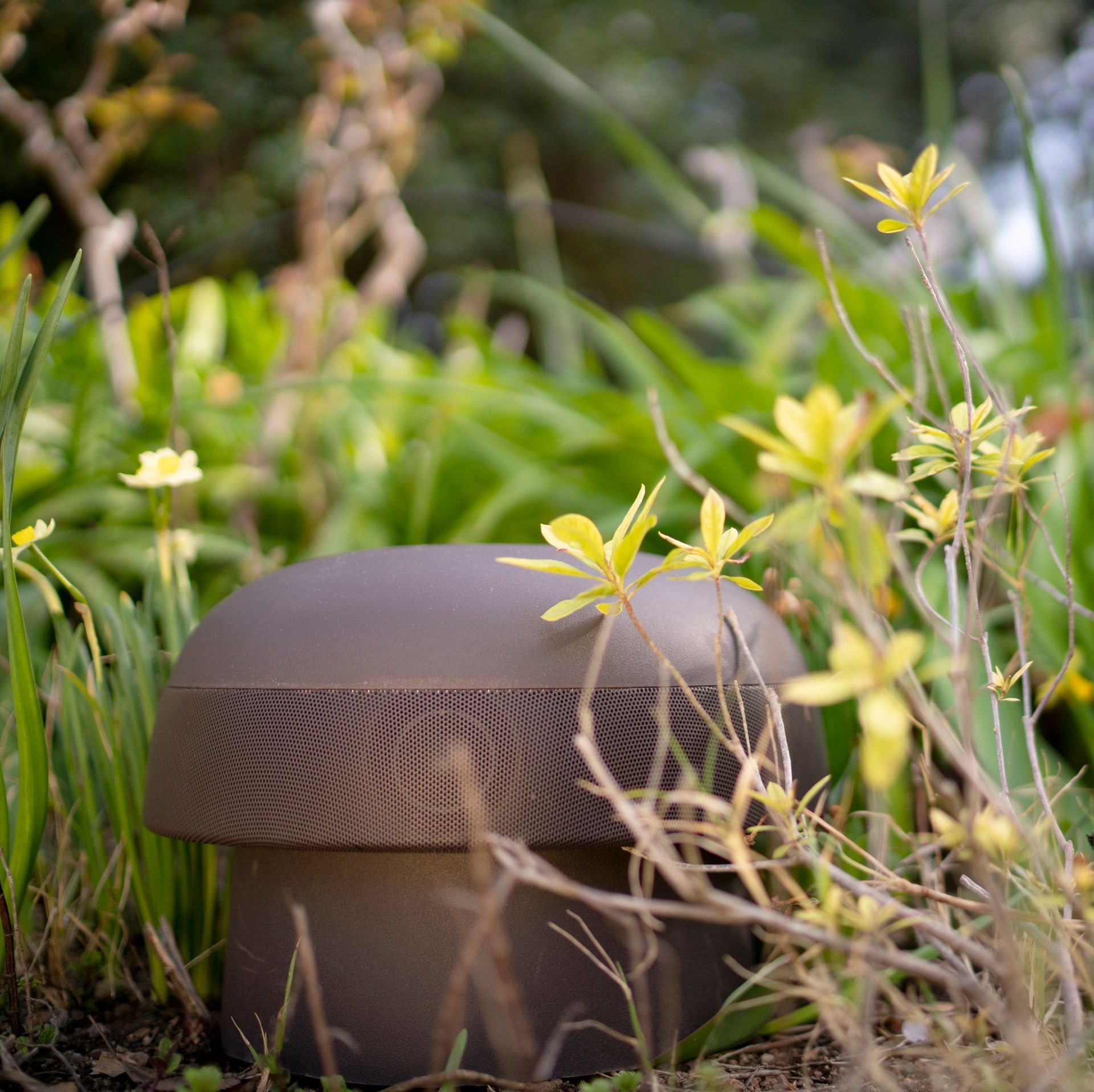 Sonance outdoor speaker installed in garden bed — outdoor audio Omaha NE