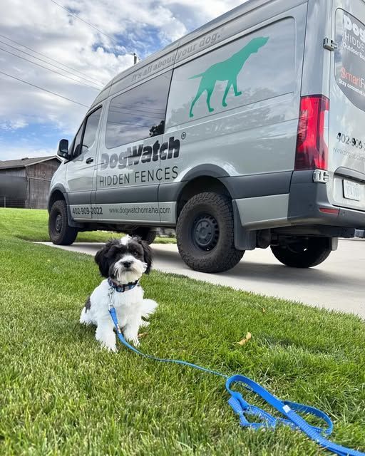 Small black-and-white dog on a leash in grass beside a DogWatch of Omaha Van.