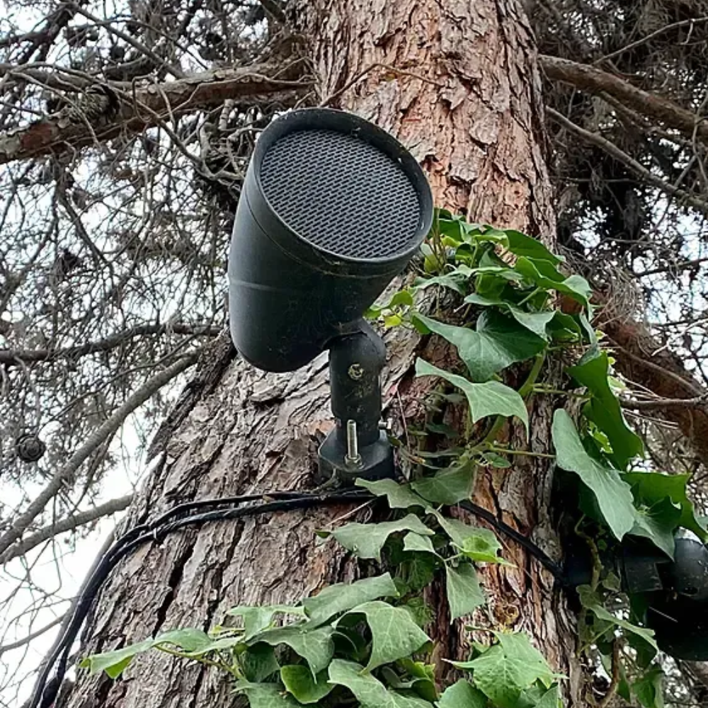 Sonance outdoor speaker mounted in tree — invisible audio system installation Omaha NE