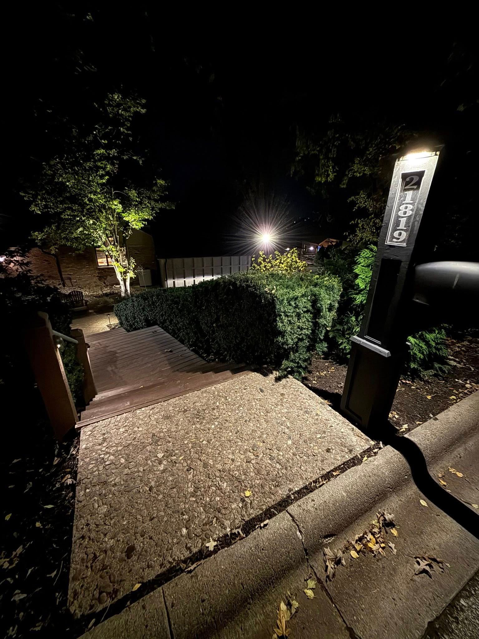 Commercial landscape lighting on tree-lined driveway — Earl Outdoor Solutions Omaha