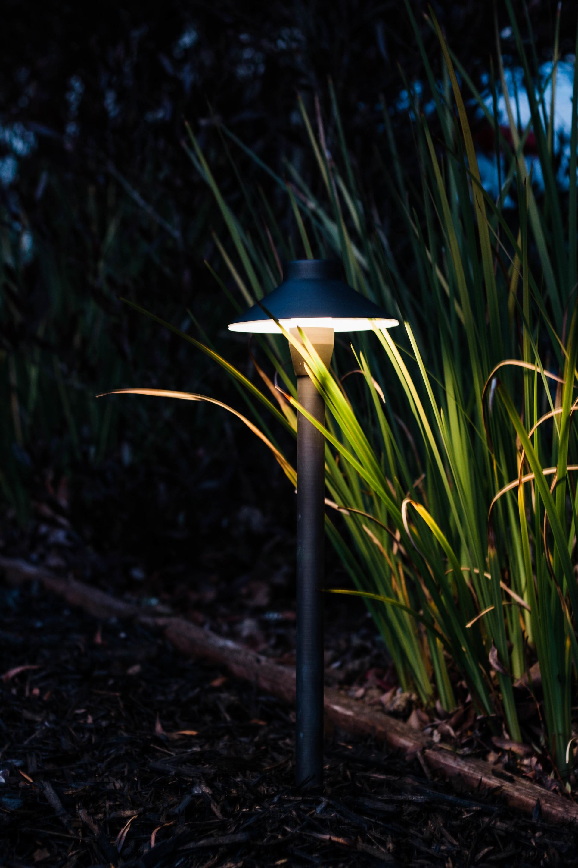Alliance path light illuminating ornamental grass — landscape lighting Omaha NE