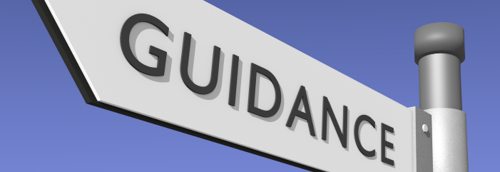 College Guidance Counselor