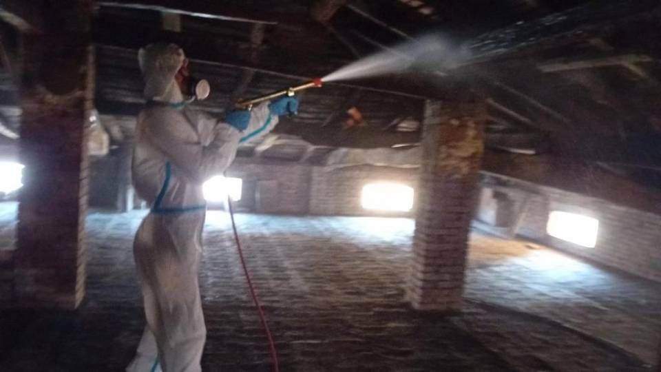 operazione di bonifica guano