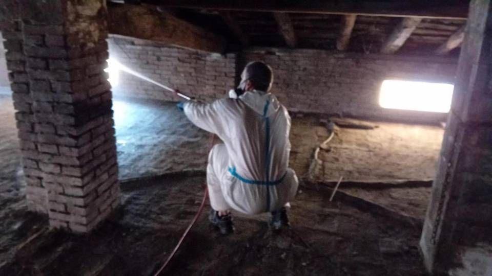 operatore che esegue bonifica del guano