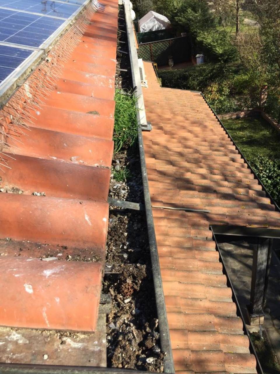 guano in un tetto