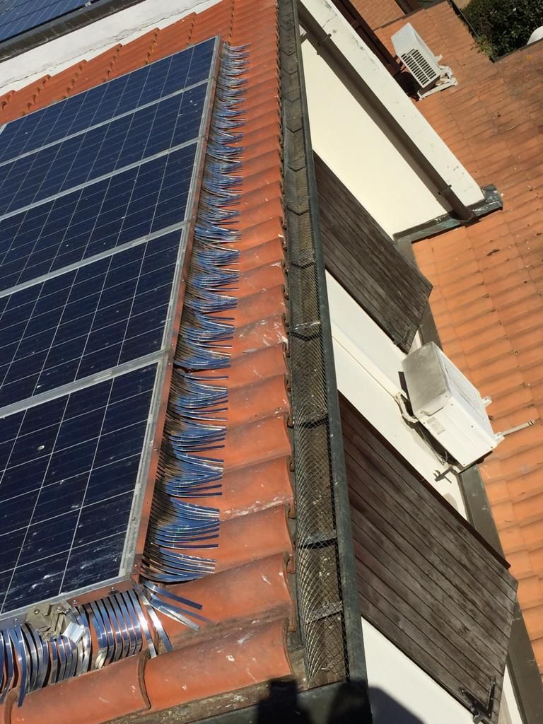 Pulizia di impianti fotovoltaici e pannelli solari a Bologna
