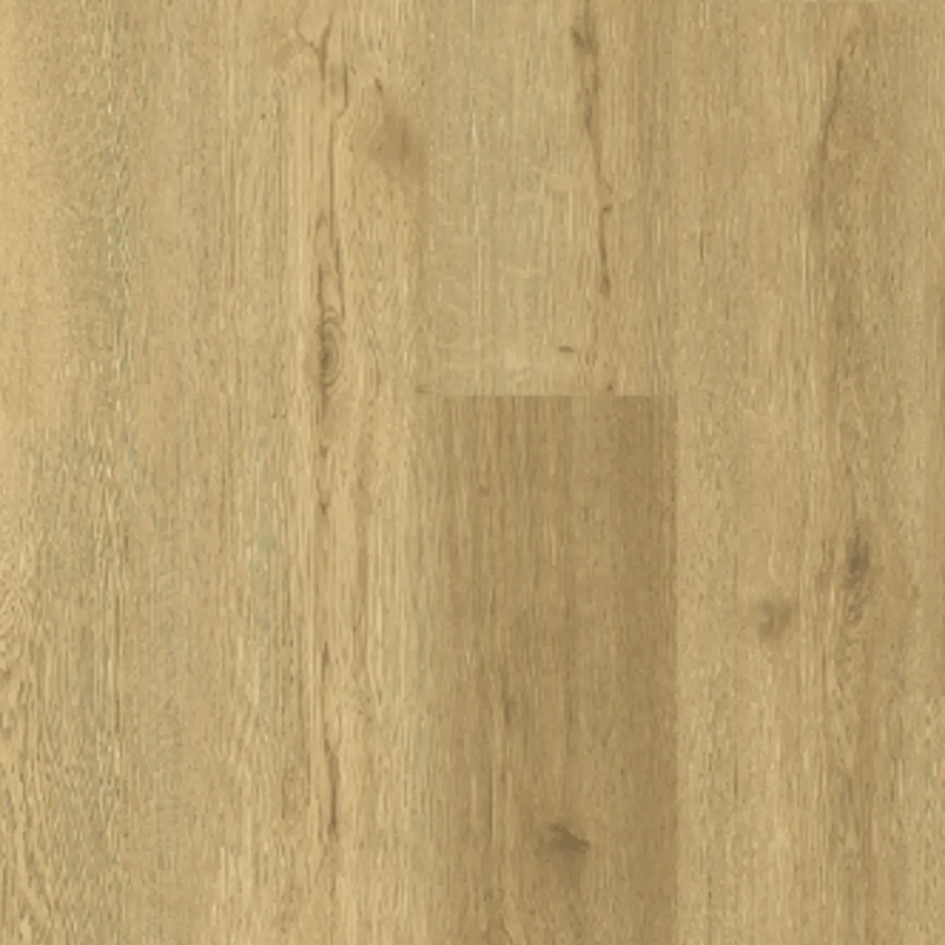 Birch 2