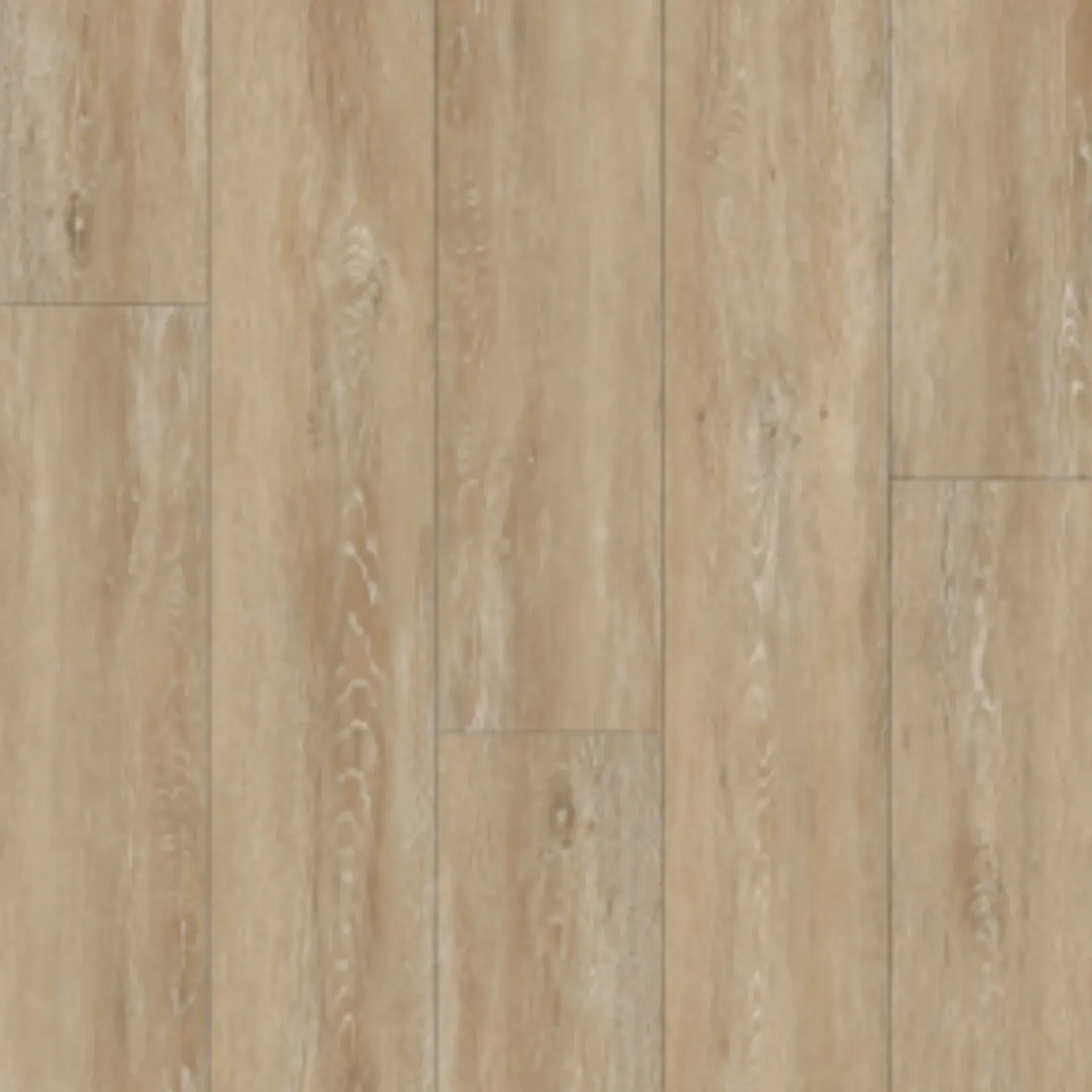 Blonde Oak