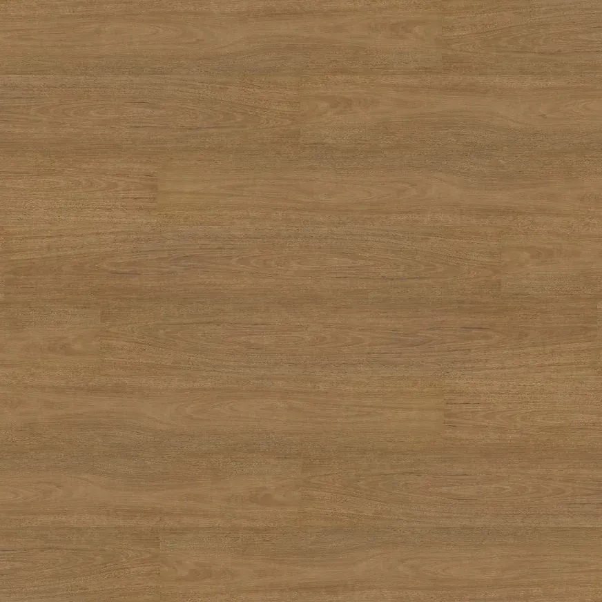 Spotted Gum
