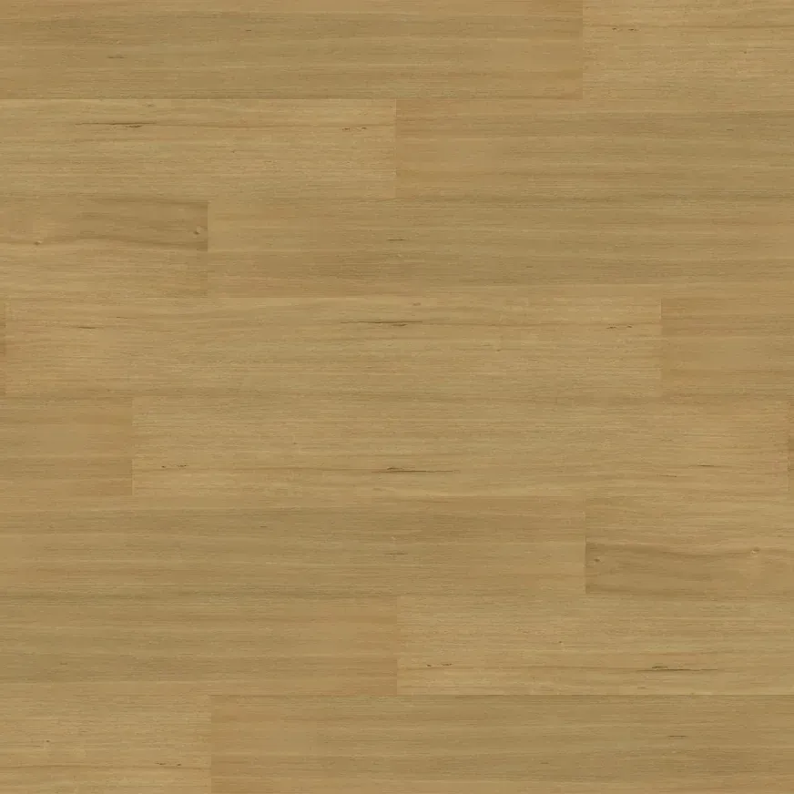 Tasmanian Oak