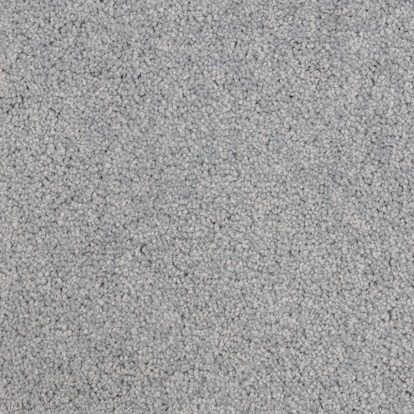 Elanus Grey TS