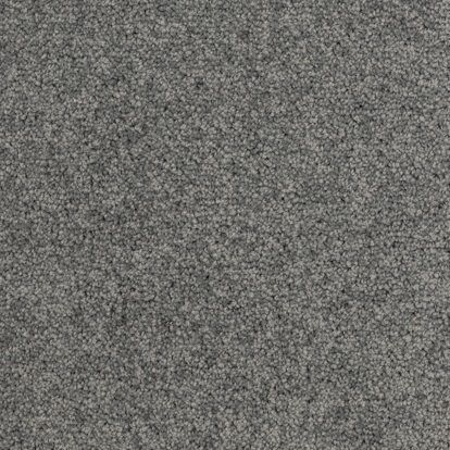 Harbour Grey TS