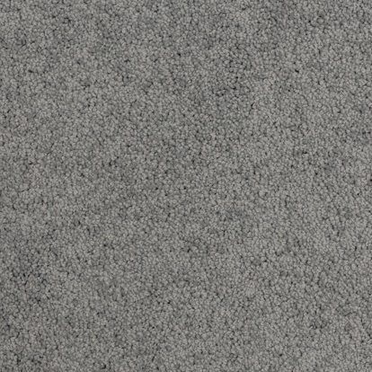 Seal Grey TS