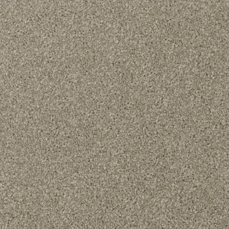 Canvas Wash