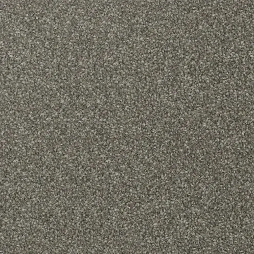 Urban Stipple