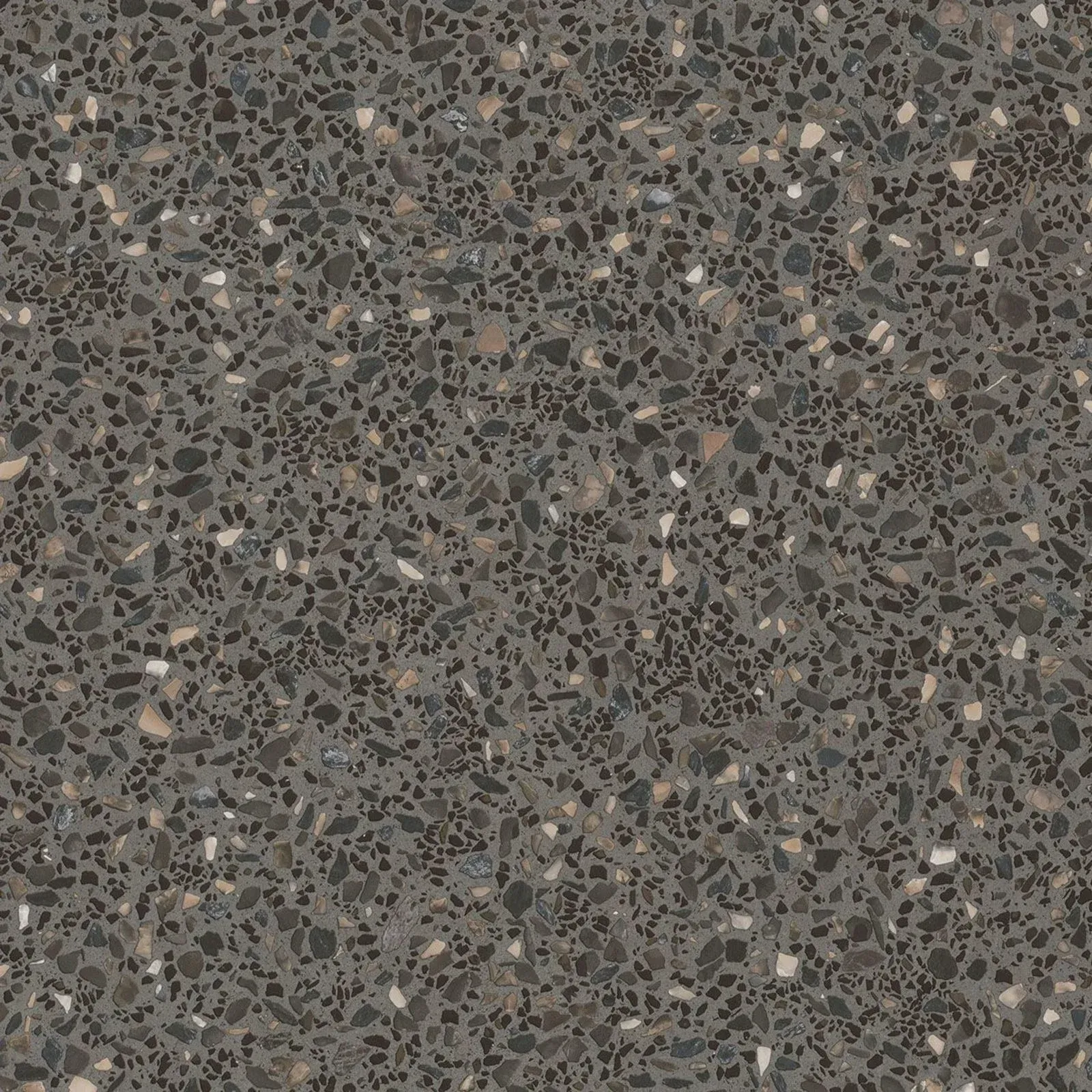 Flinders Range – Stone