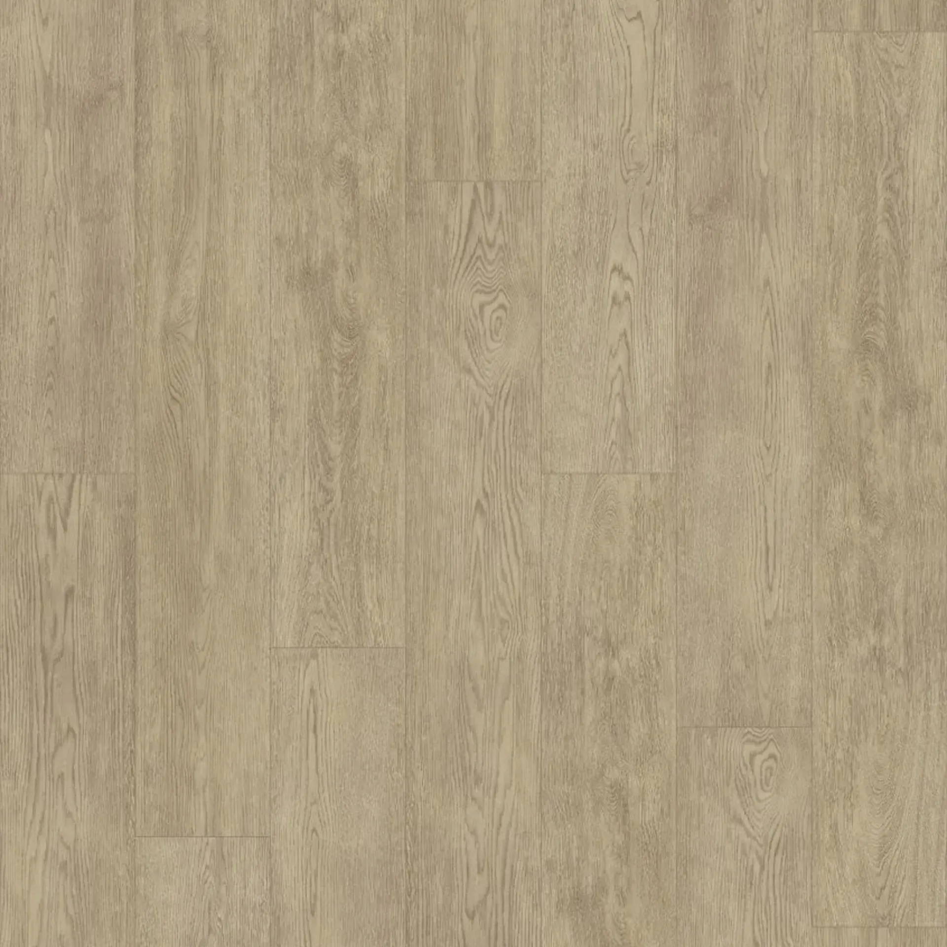 Bleached Ash