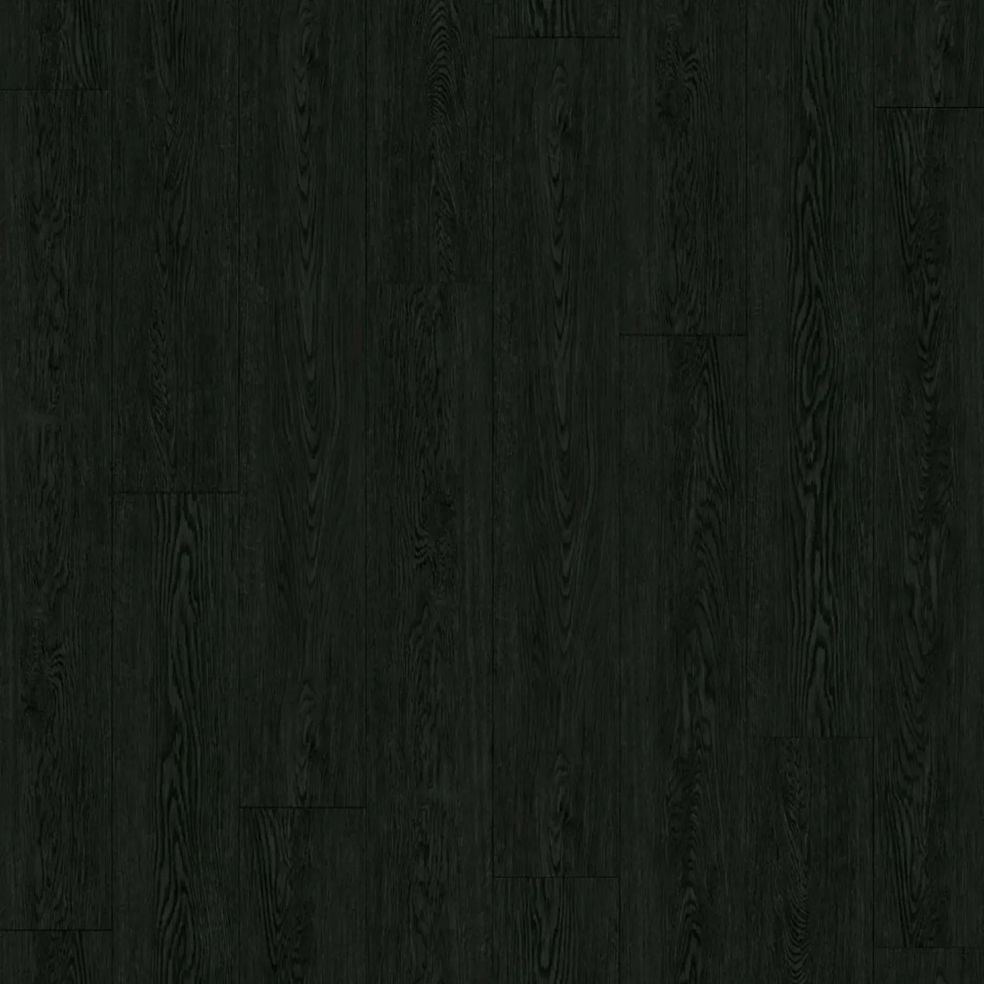 Charred Timber