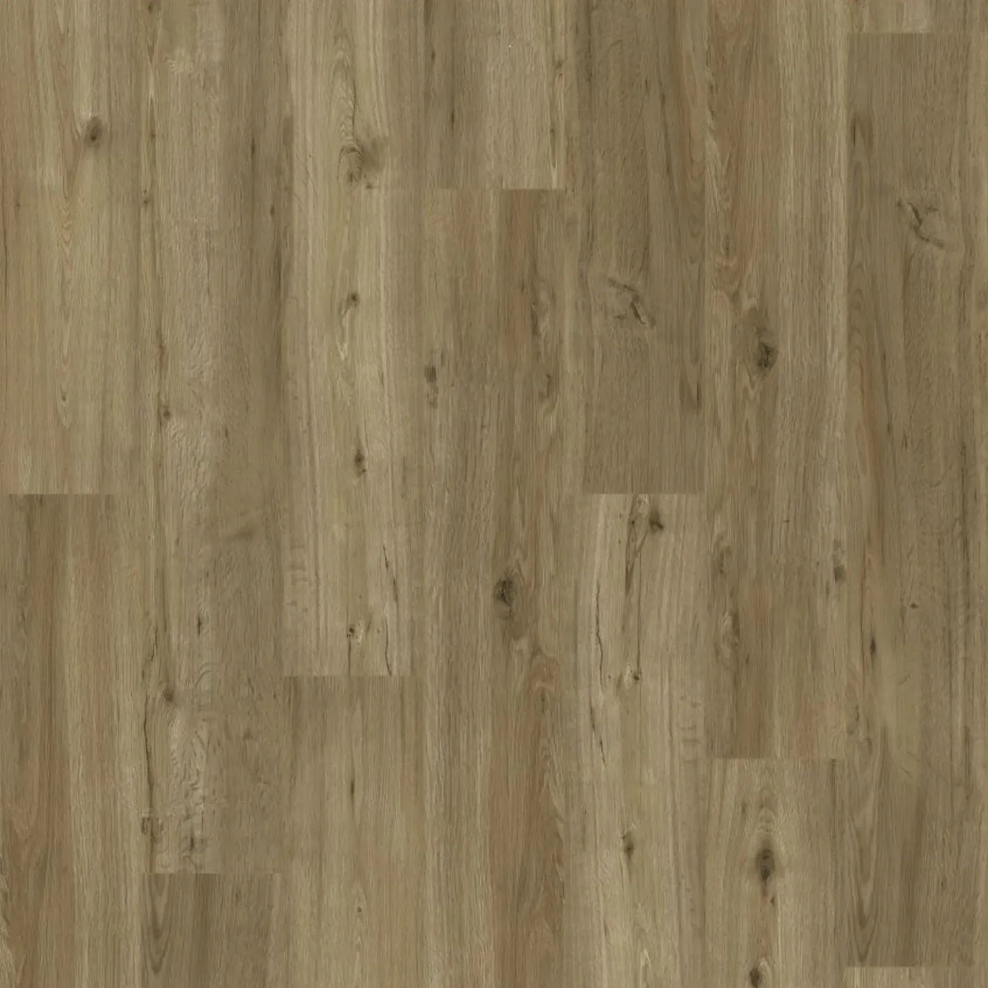 NSW Ironbark