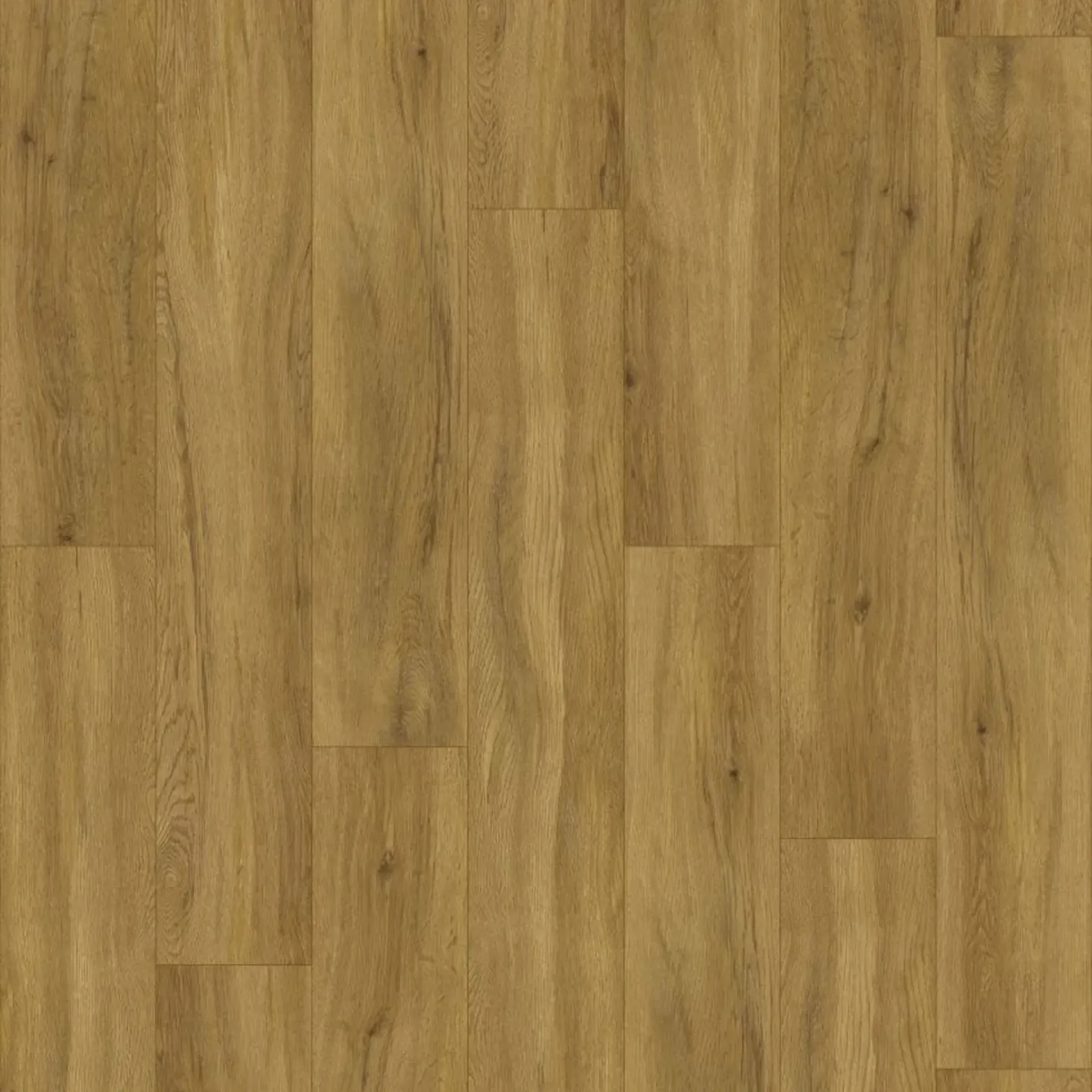 Flinders Range – Timber