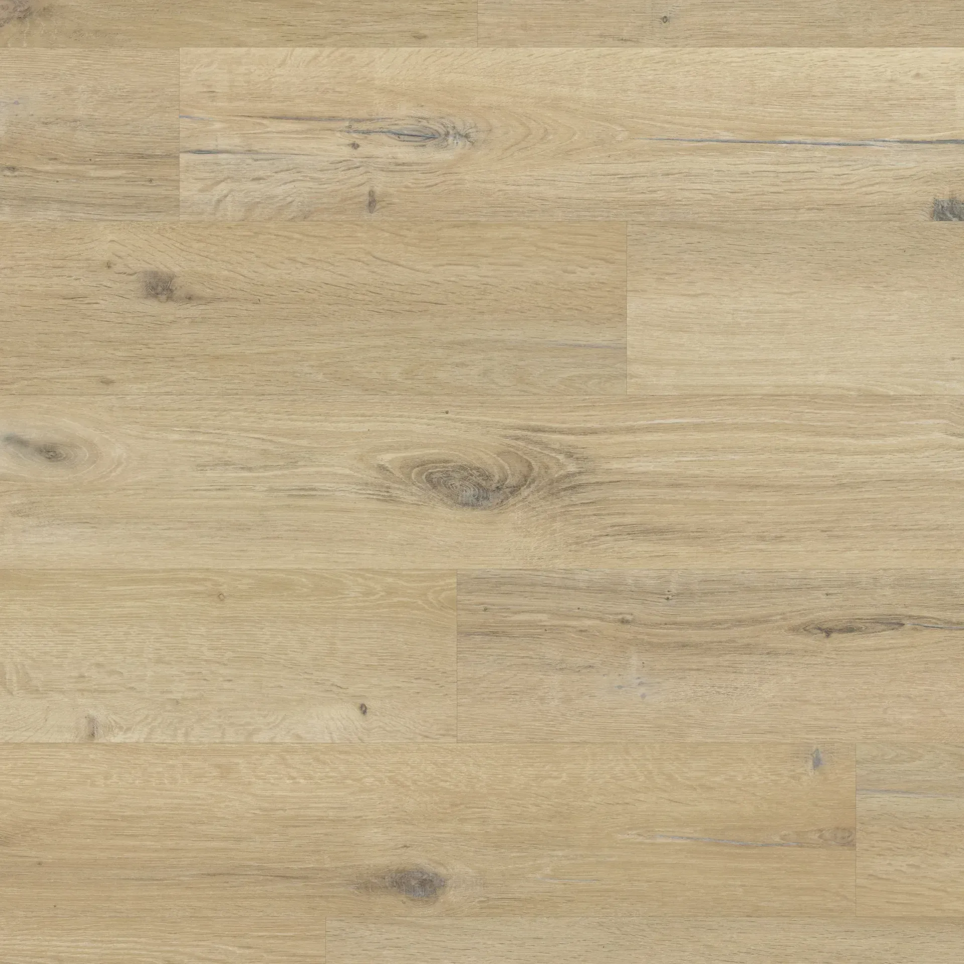 Blond Character Oak