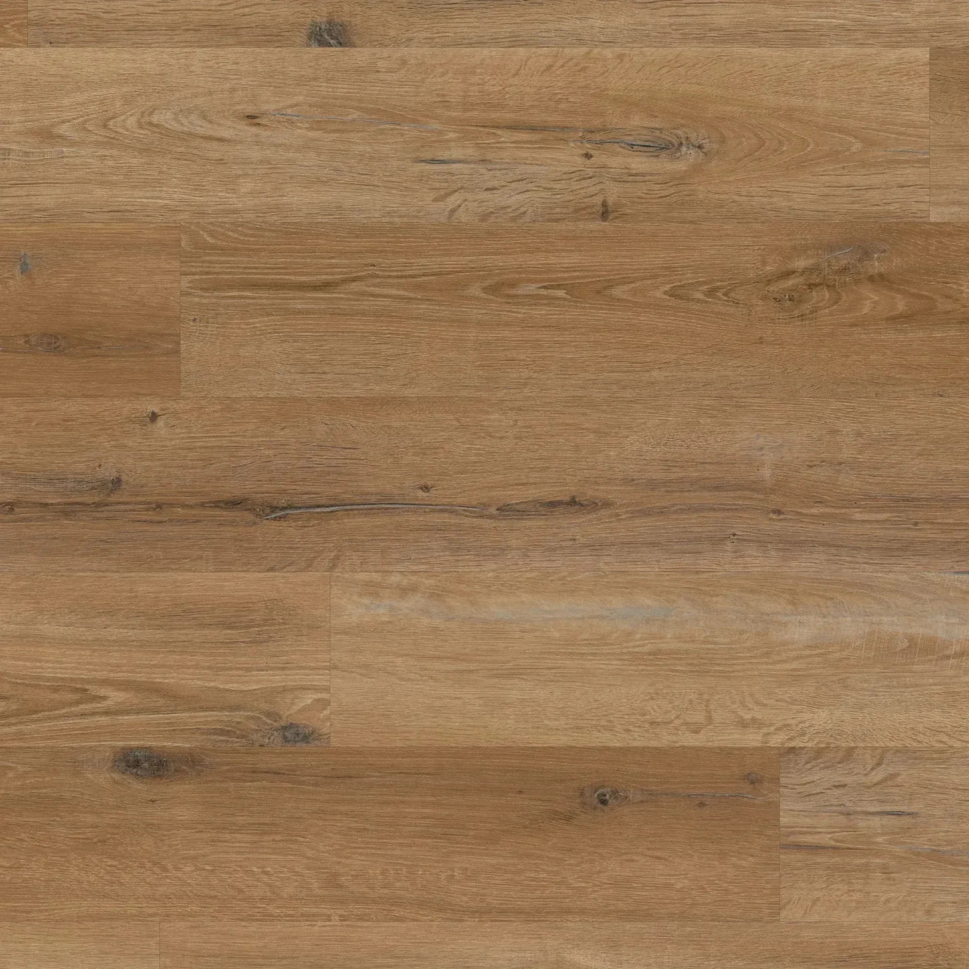 Traditional Character Oak