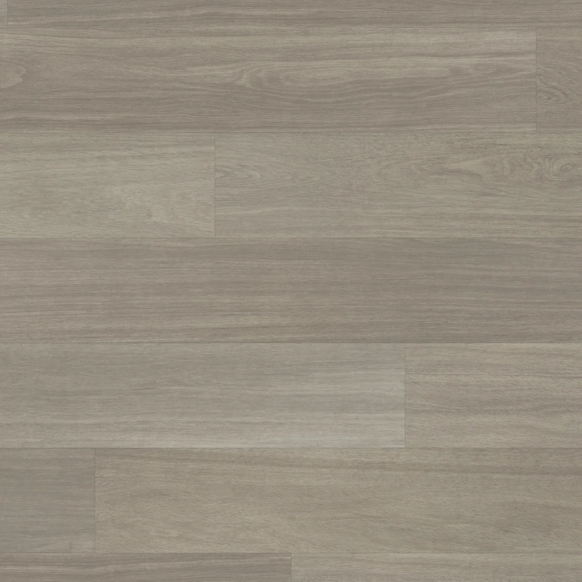 Misty Grey Oak