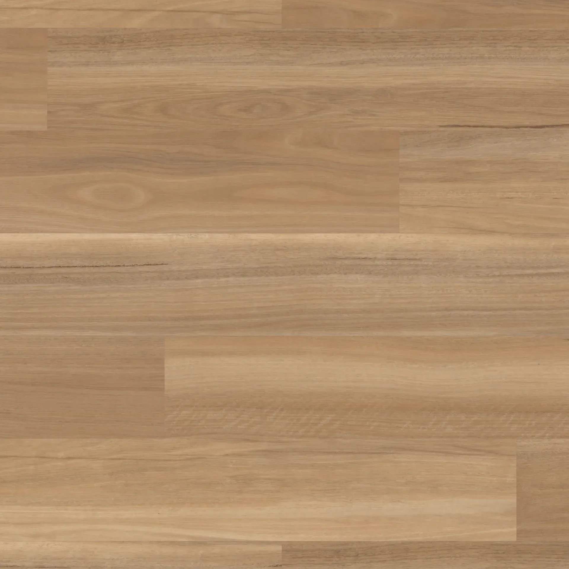 River Spotted Gum