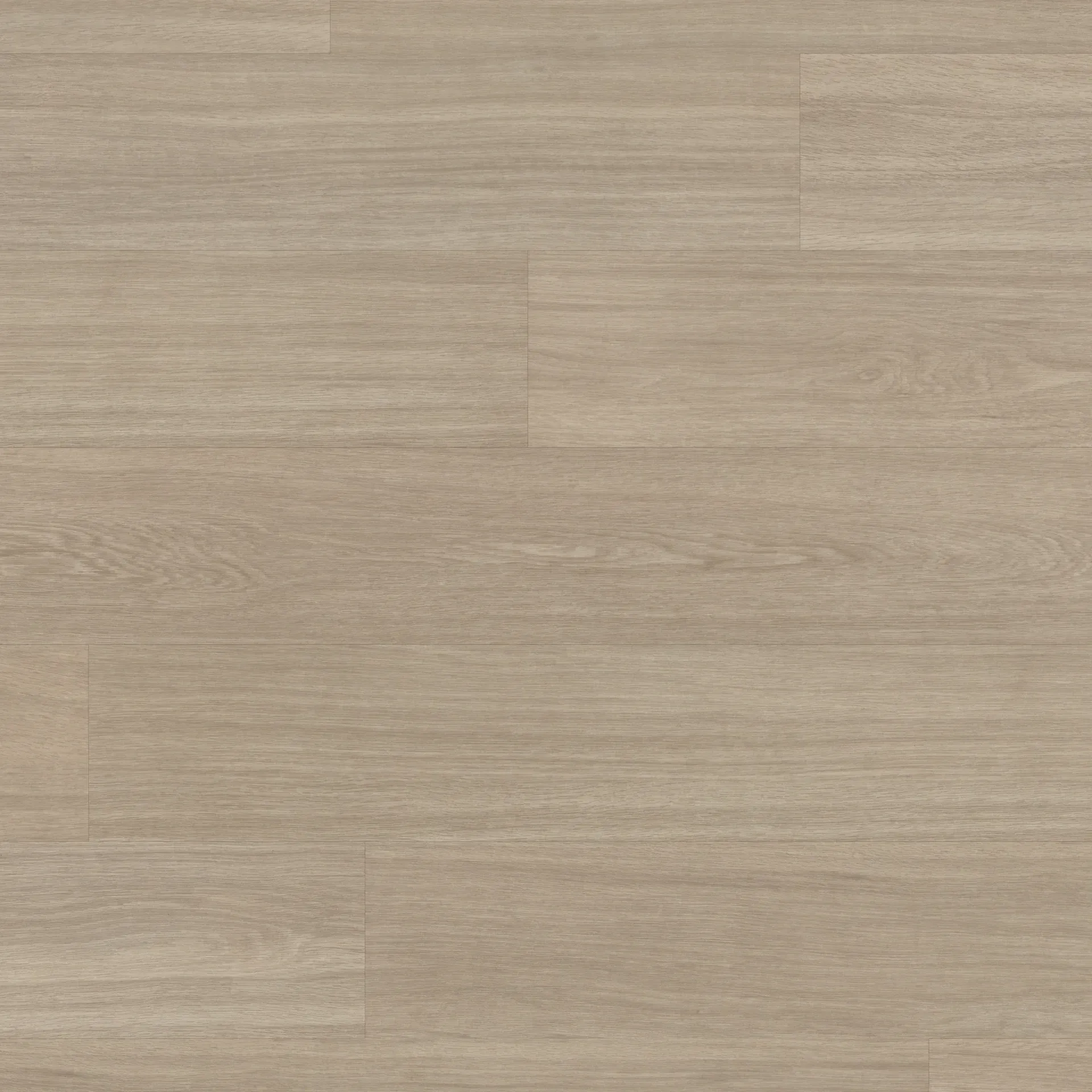 Tranquil Oak