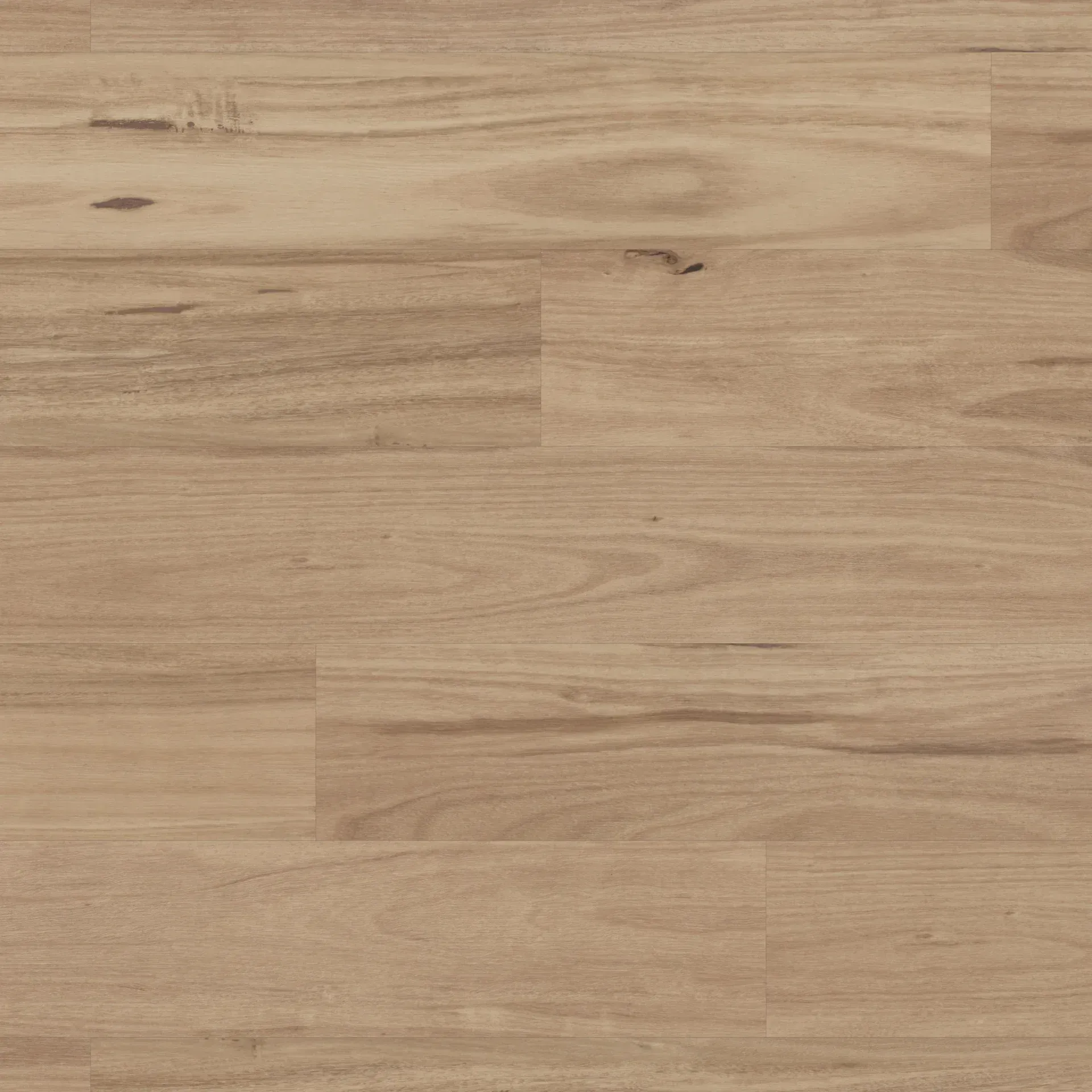 Washed Blackbutt
