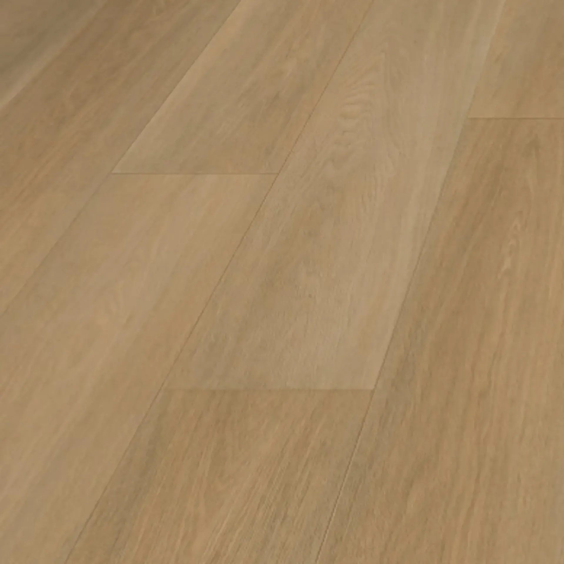 Heritage Oak BV