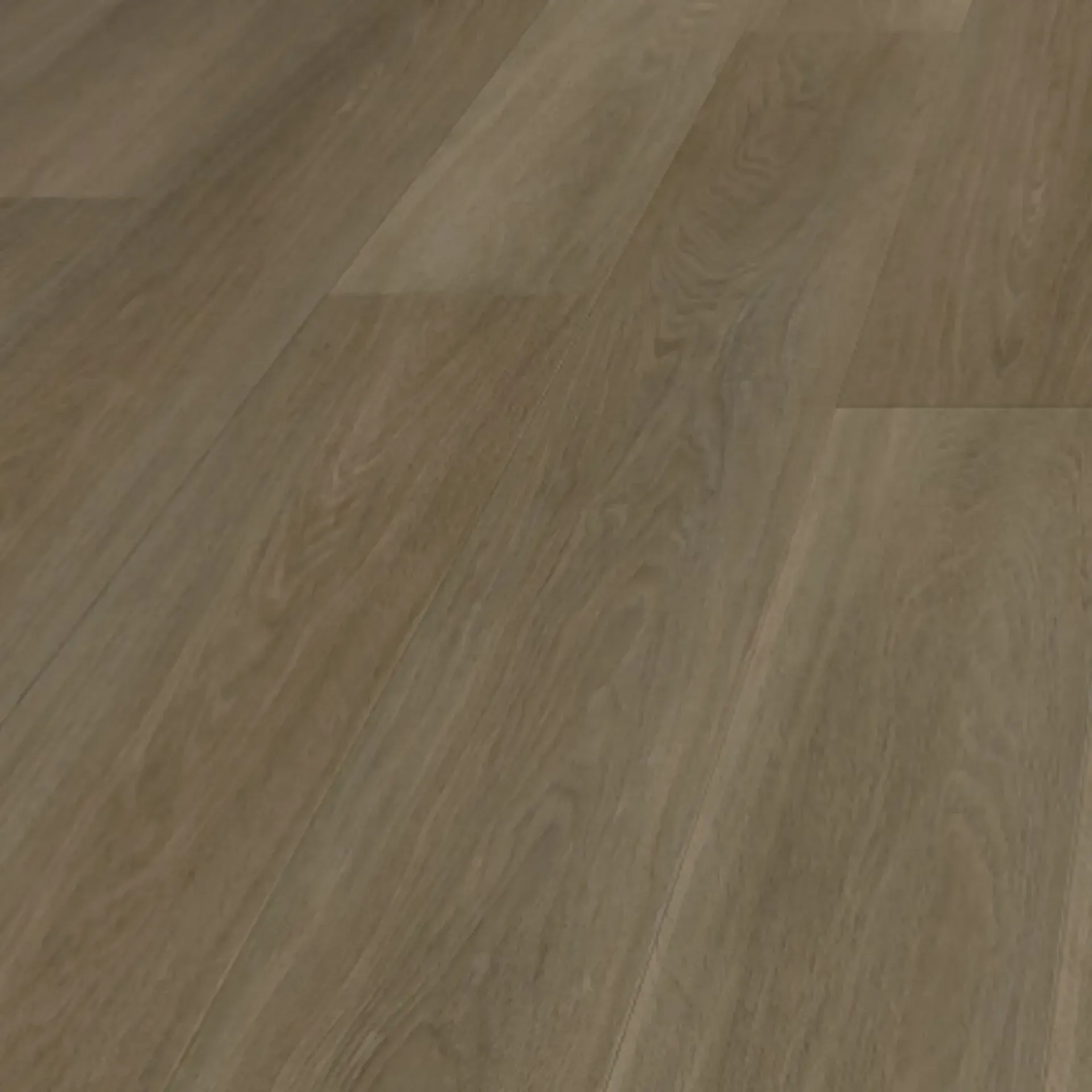 Mocha Oak