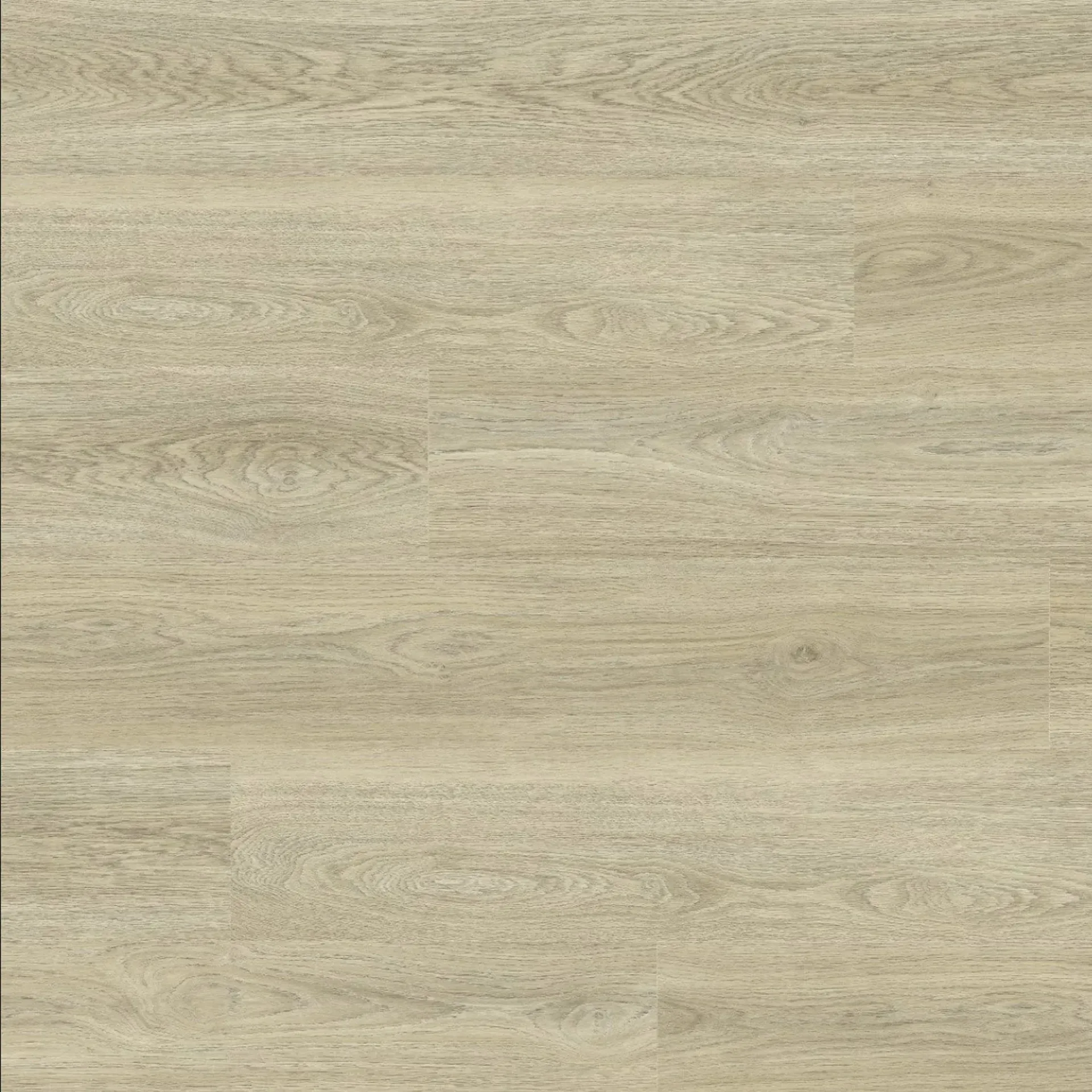 Brighton Oak B1