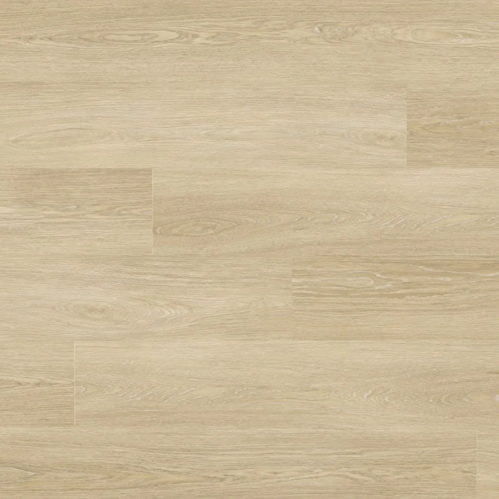 Dawn Oak D1
