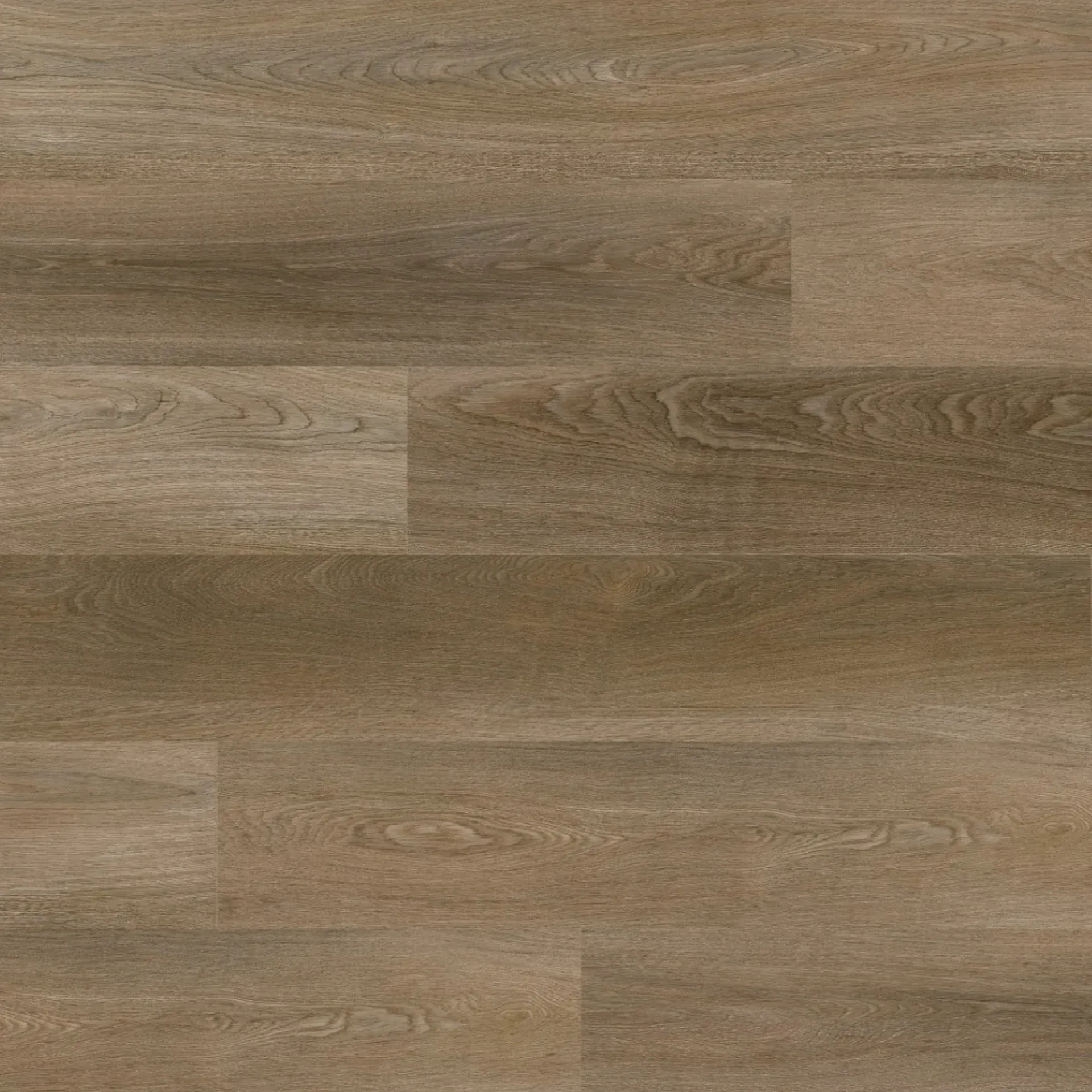 Mature Oak M2
