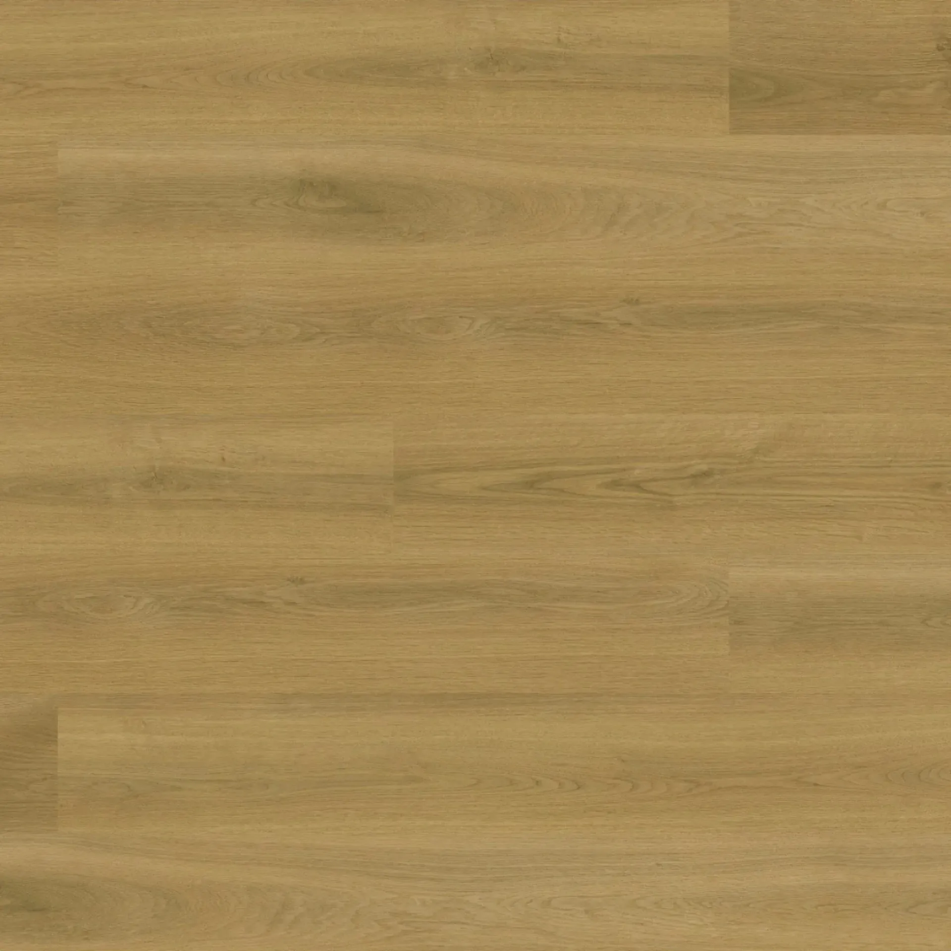 Oddyssey Tassie Oak O1
