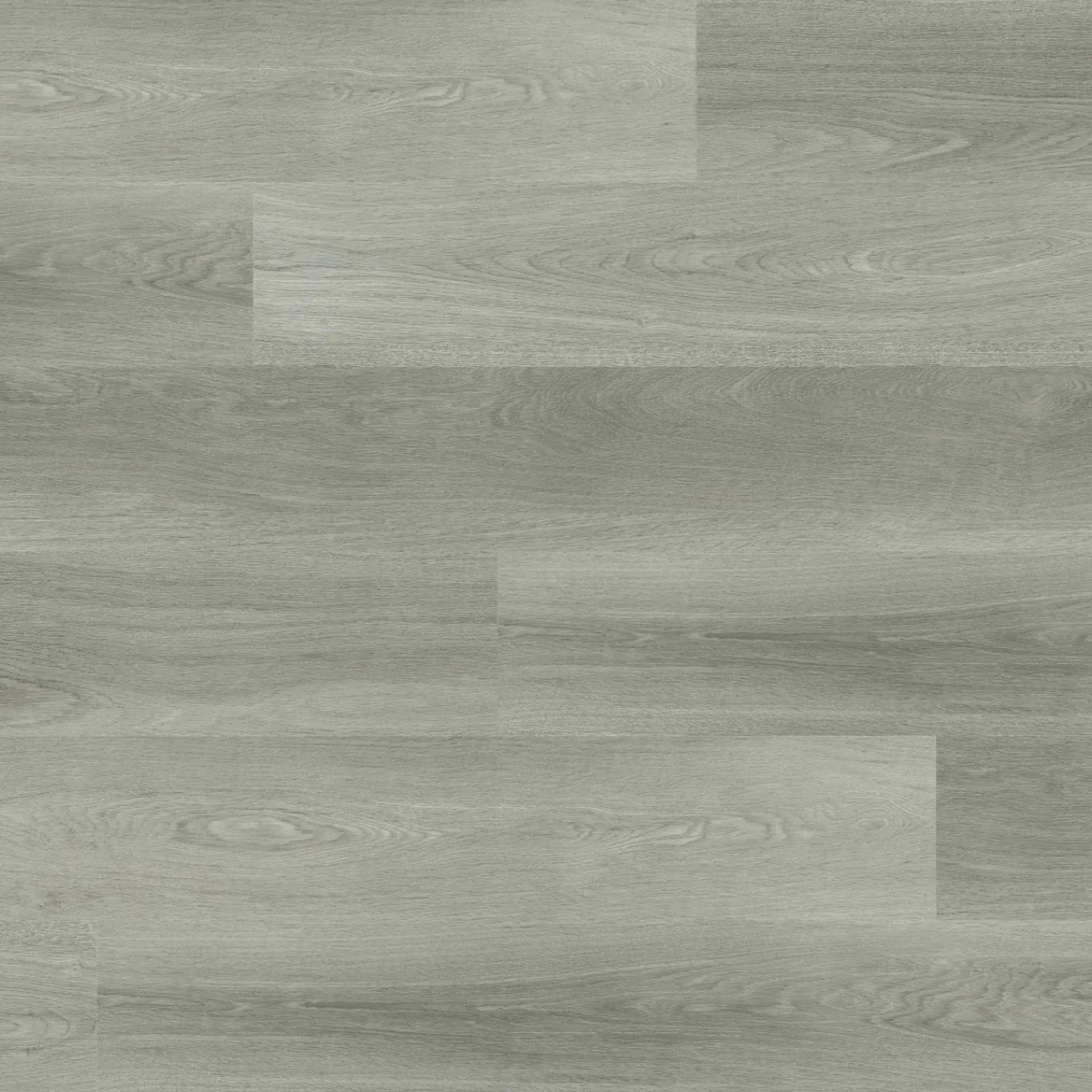 Rainy Oak R1