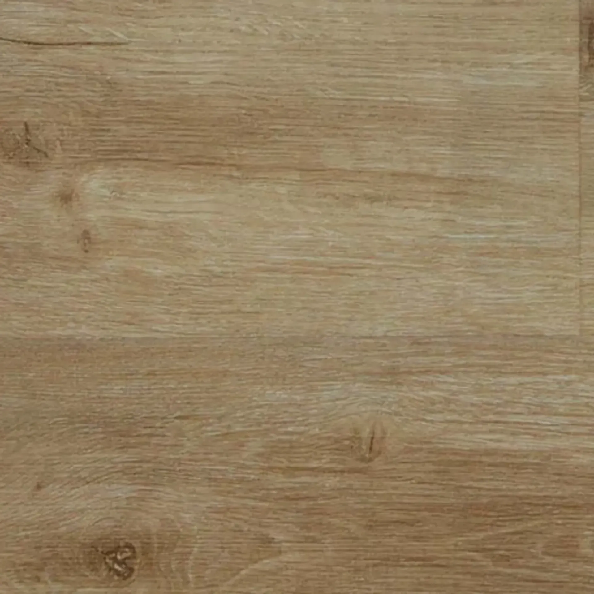 Cottesloe Oak FH