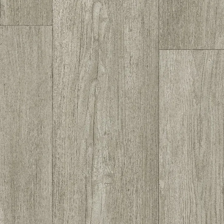 Winter Pine Grey