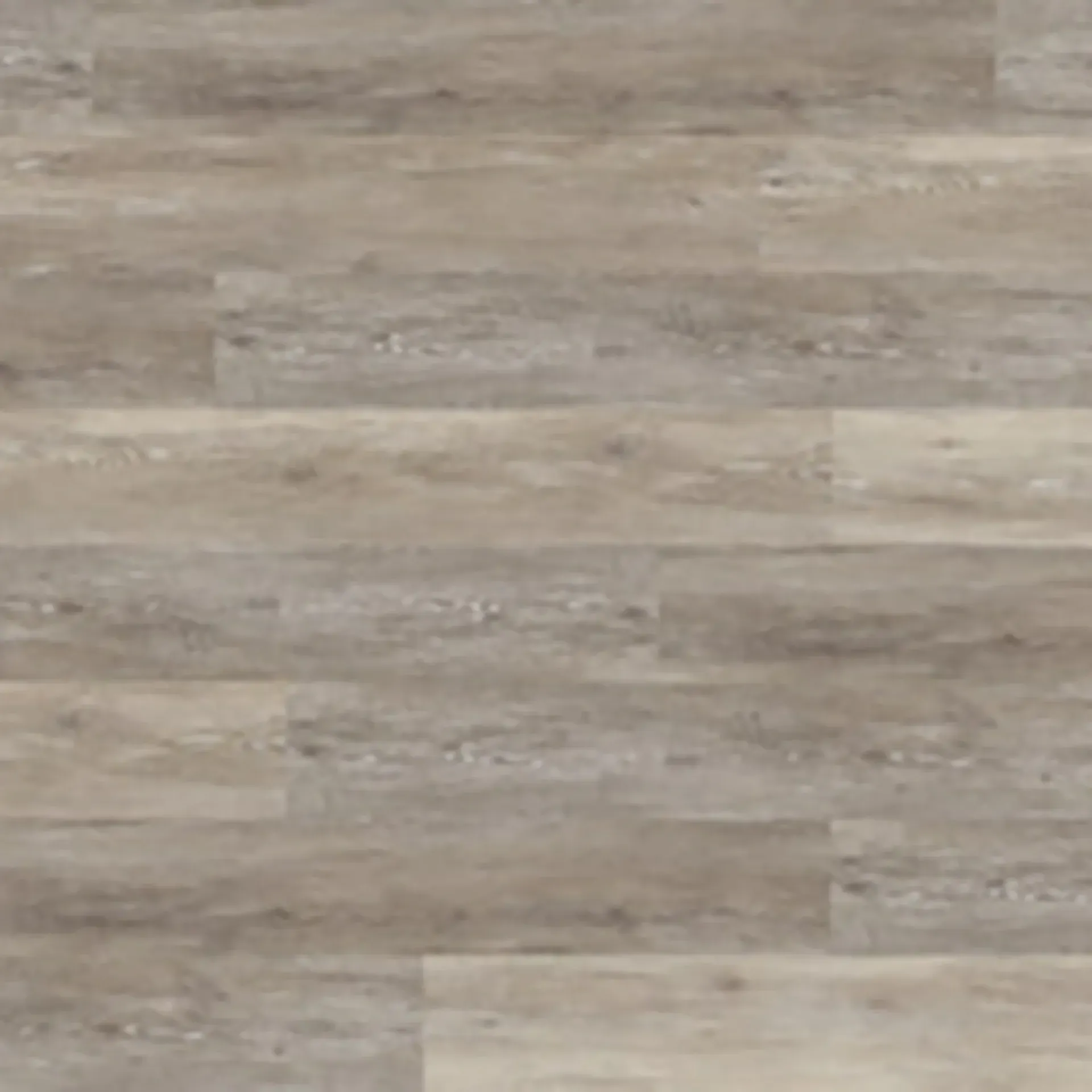 Boathouse Oak