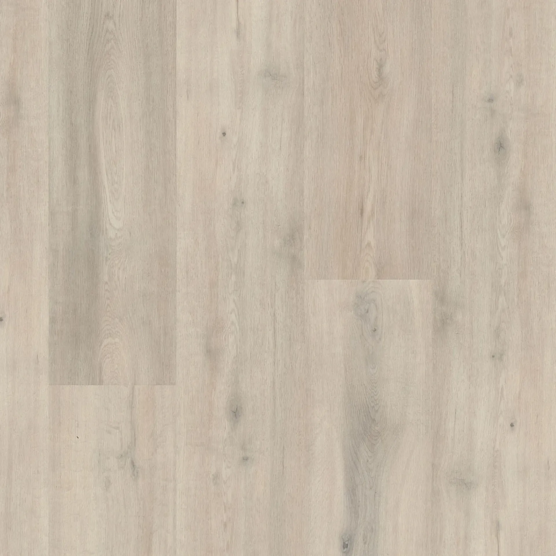 Rosedale Oak