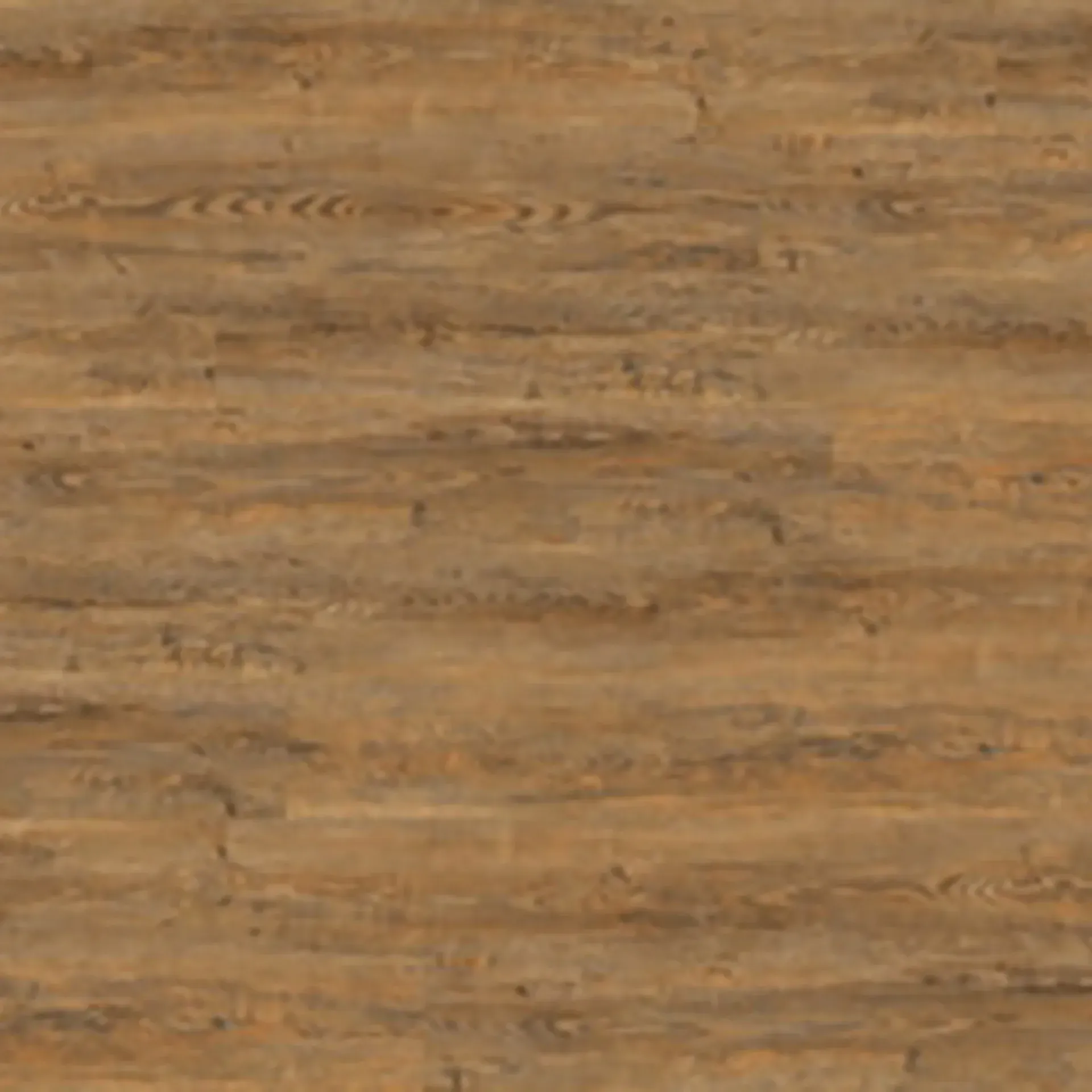 Wild Amber Oak