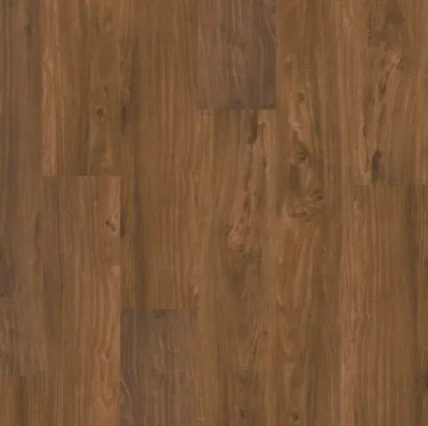 Blackwood MP
