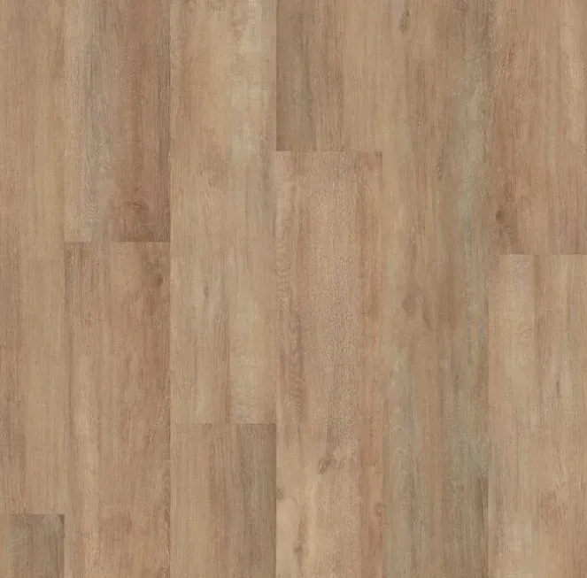 Grey Gum MP