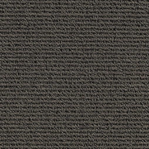 Taupe 2